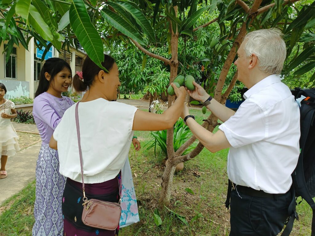 Kwai Nan und Andreas Chrzanowski ernten Mangos bei der Blindenschule Bawa Thit in Myanmar während der Reise 2025