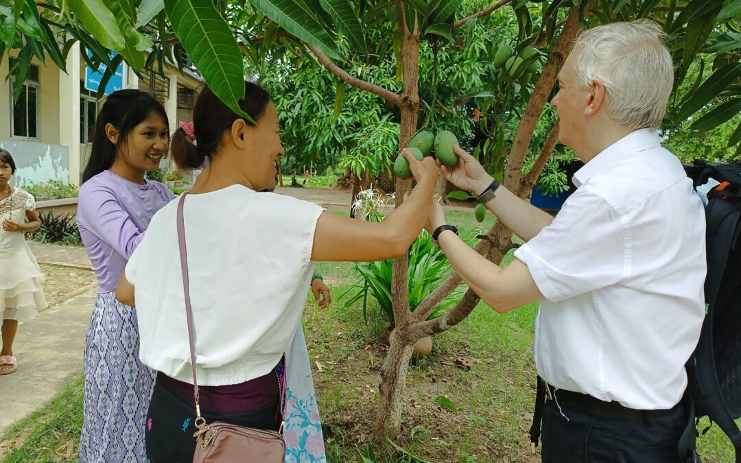 Kwai Nan und Andreas Chrzanowski ernten Mangos bei der Blindenschule Bawa Thit in Myanmar während der Reise 2025