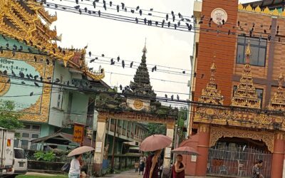 Neue Podcast Folge 17: Entdeckungsreise Buddhismus, Teil 2 – Vier edle Wahrheiten und der Achtfache Pfad